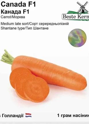 Морква канада f1 1г /(5 пачок в упаковці) тм beste kern