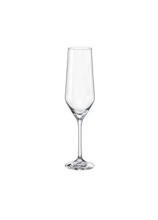 Набор бокалов для шампанского bohemia jane 40815/220 220 мл 6 шт