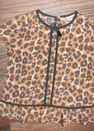 Леопардовая блуза на 5 лет