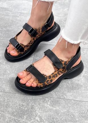 Жіночі босоніжки сандалі на липучкі натуральна шкіра замш чорні з леопардовим принтом