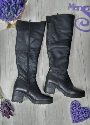Жіночі зимові ботфорти shtayer чорні чоботи натуральна шкіра розмір 39