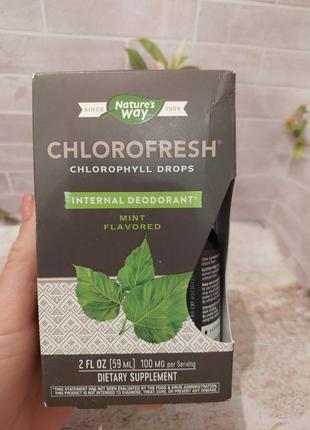 Chlorofresh, краплі з хлорофілом, зі смаком м’яти, 59 мл