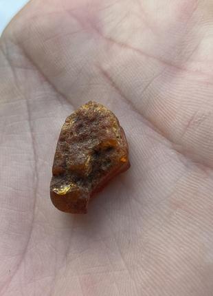 Бурштин необроблений камінь натуральний бурштин 20*13*11 мм