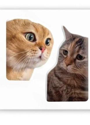 3d стикер "мем: коты" (цена за 1 шт)