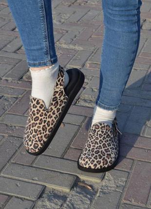 Леопардовые тапочки клоги сабо женские new collection