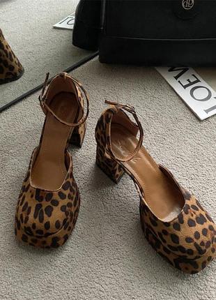 Жіночі туфлі босоніжки на квадратно-грубому підборі 38 леопардові