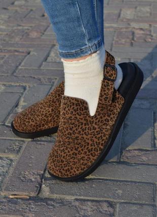 Леопардові капці клогі сабо жіночі limited collection