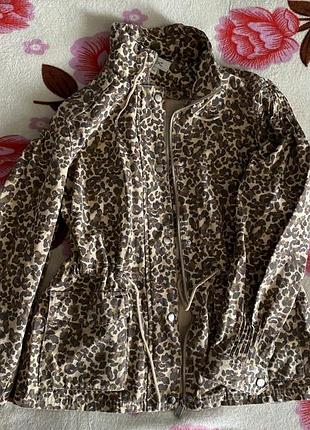 Ветровка куртка в классный принт
