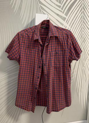 Теніска чоловіча