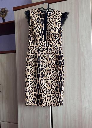 Сукня леопардовий принт  котон плаття з мереживом сукня футляр до колін розмір s-m
