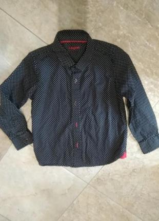 Стильная модная рубашка в горошек для мальчика