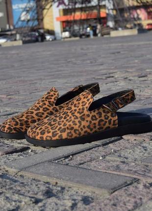 Леопардові капці клогі сабо жіночі limited collection