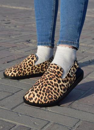Леопардові капці клогі сабо жіночі new collection