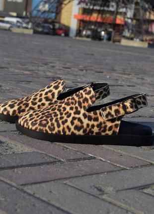 Леопардові капці клогі сабо жіночі new collection