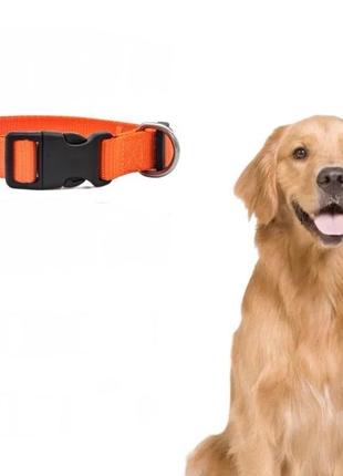 Нашийник для собак "popi" orange 8-27 дюймів світловідбивний