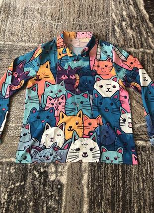 Красивая рубашка с котиками
