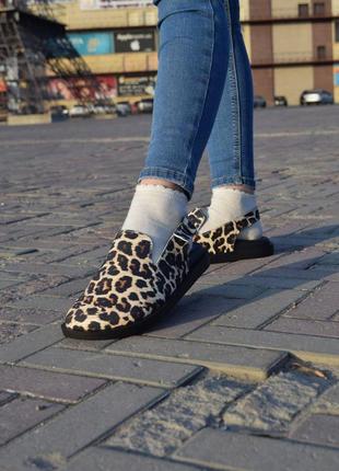 Леопардовые тапочки клоги сабо женские new collection