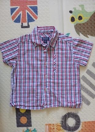 Рубашка для мальчика 9-12 мес с коротким рукавом.