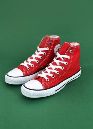 Кеди Cotton converse