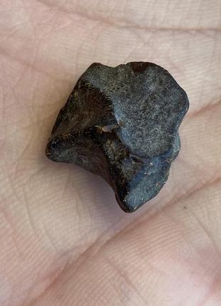 Бурштин необроблений камінь натуральний бурштин 19*17*8 мм