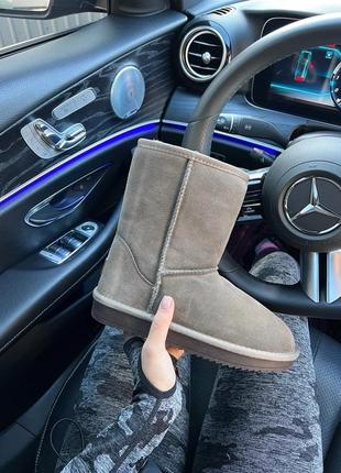 Зимние женские ботинки ugg baley beige