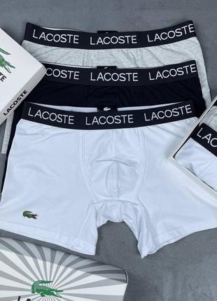 Боксери lacoste