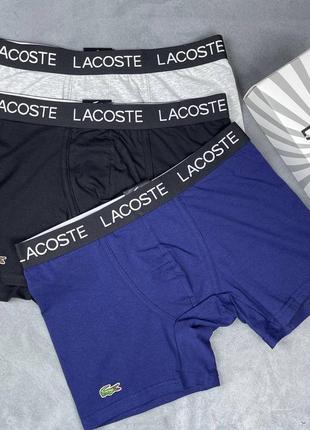Боксери lacoste3 фото