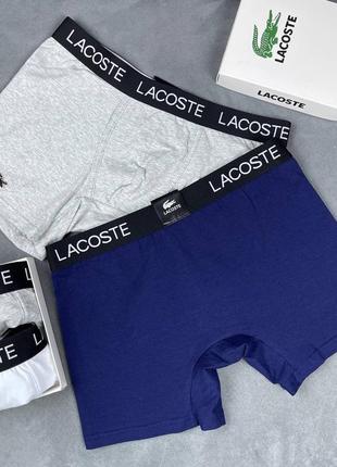 Боксери lacoste7 фото