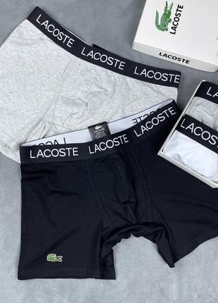 Боксери lacoste5 фото