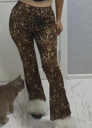 Новые брюки леопард