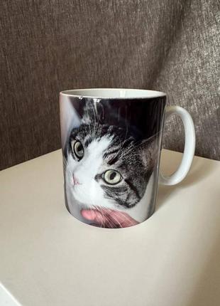 Кружка, кружка "кошки, животные, кошачий глаз", 320 мл