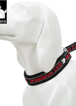 Нашийник для собак truelove