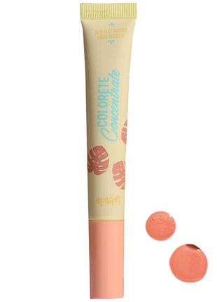 Жидкие матовые румяна alamar colorete concentrate liquid blush amor de melocoton 7 мл9 фото