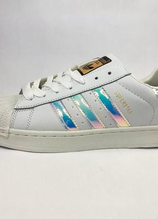 Кроссовки adidas superstar 62884. размер 39