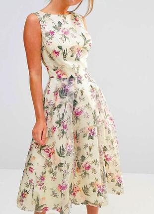 Распродажа платье chi chi london миди asos с цветочным принтом