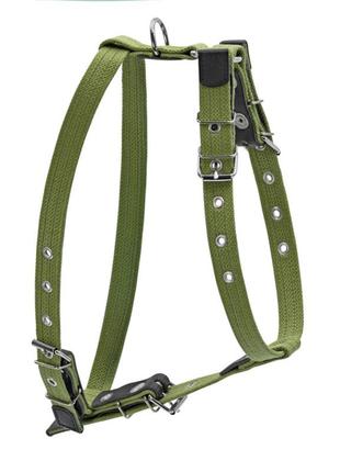 Шлей для собак collar для маленьких и средних собак 36-57 см зеленая (0635)