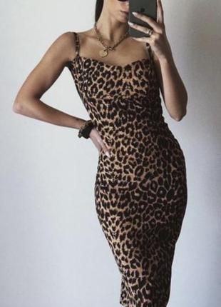 Плаття міді сукня леопардовий принт prettylittlething