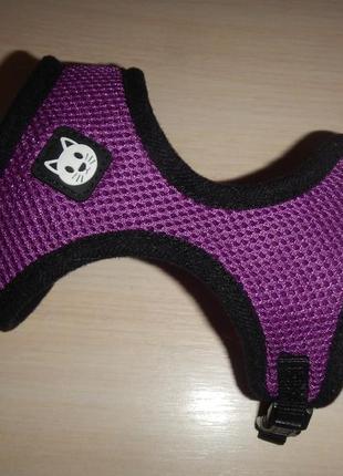 Шлея для кота pets