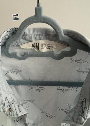 Рубашка с коротким рукавом hm акулонок