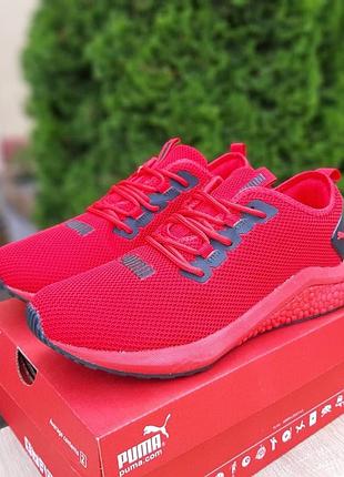 Puma hybrid красные
