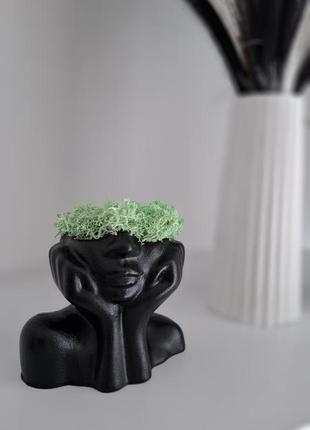 Кашпо с мохом женское брэнд