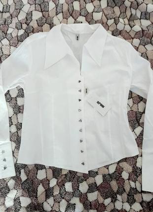 Рубашка, блуза белая коттон