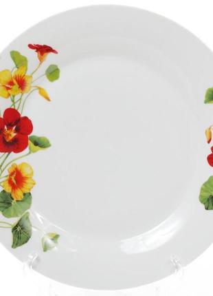 Набор 6 фарфоровых обеденных тарелок "настурция" ø27см