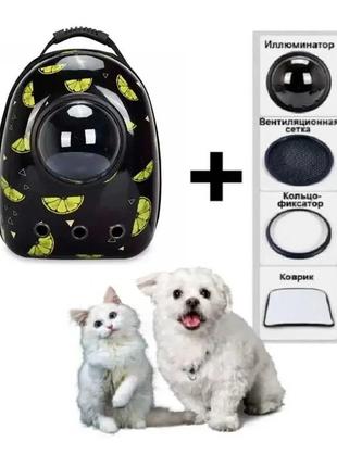 Cosmopet: космический рюкзак для переноски домашних животных с иллюминатором bb