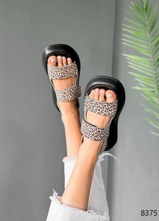 Леопардові натуральні шкіряні босоніжки сандалі з липучкою на липучці товстій чорній підошві шкіра леопард