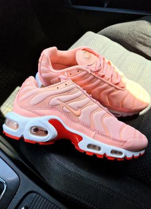 Жіночі кросівки nike air max tn plus