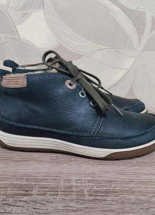 Шкіряні черевики ecco  size 36/23.5