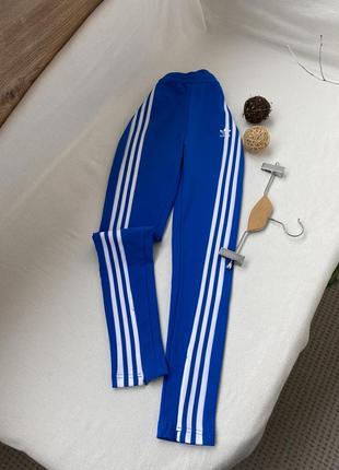 Крутые спортивные штаны лосины adidas