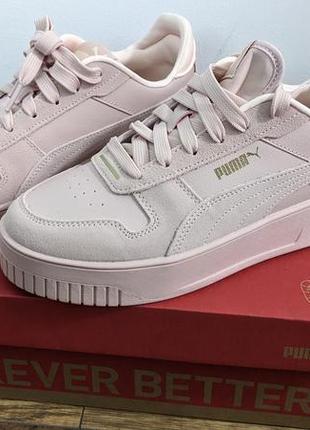 Puma carina