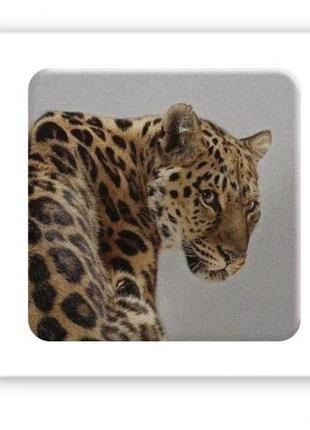 3d-стикер "wild cat" (ціна за 1 шт.)